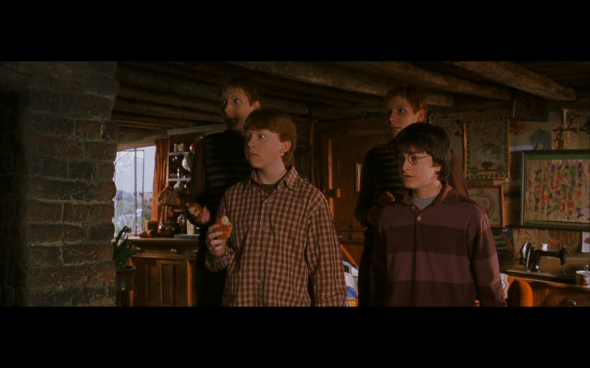 Harry Potter and the Chamber of Secrets - 139