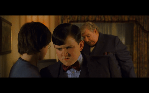 Harry Potter and the Chamber of Secrets - 14