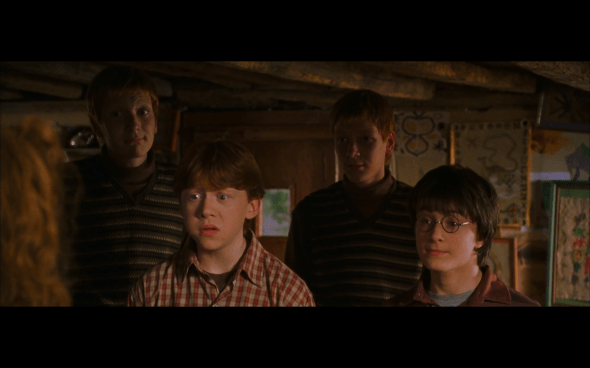 Harry Potter and the Chamber of Secrets - 142