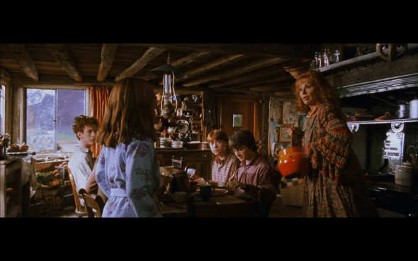 Harry Potter and the Chamber of Secrets - 146