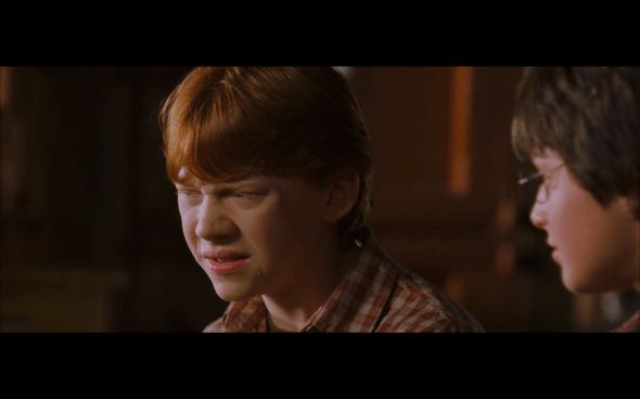 Harry Potter and the Chamber of Secrets - 155