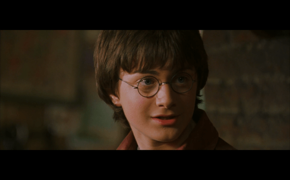 Harry Potter and the Chamber of Secrets - 159