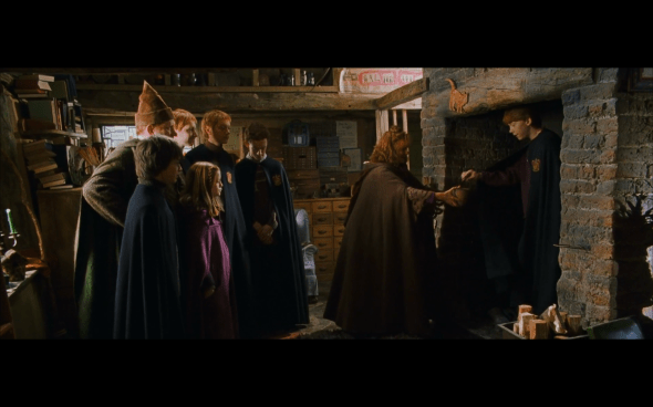 Harry Potter and the Chamber of Secrets - 175