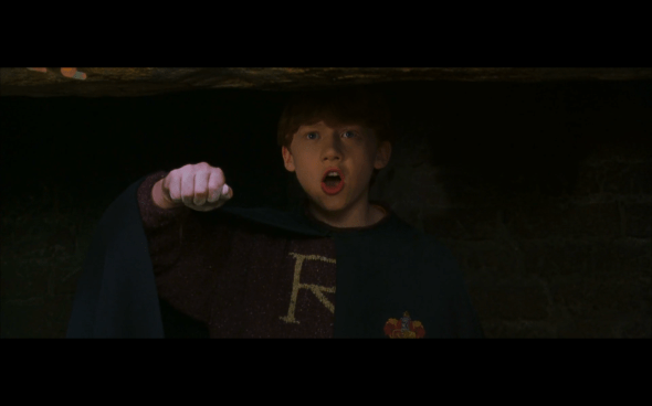 Harry Potter and the Chamber of Secrets - 176