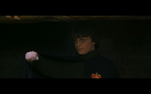 Harry Potter and the Chamber of Secrets - 185