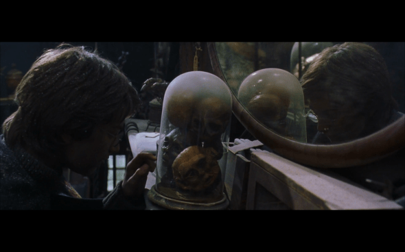 Harry Potter and the Chamber of Secrets - 193