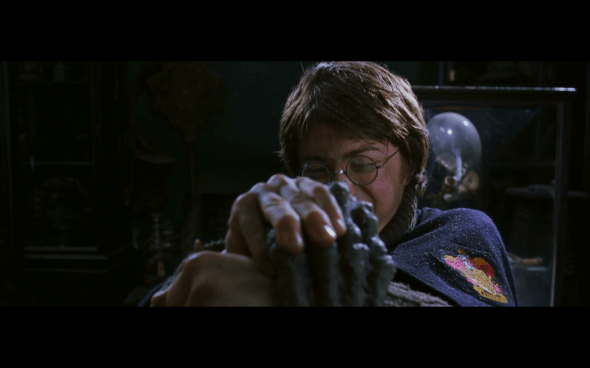 Harry Potter and the Chamber of Secrets - 196