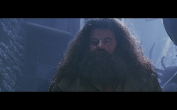 Harry Potter and the Chamber of Secrets - 204