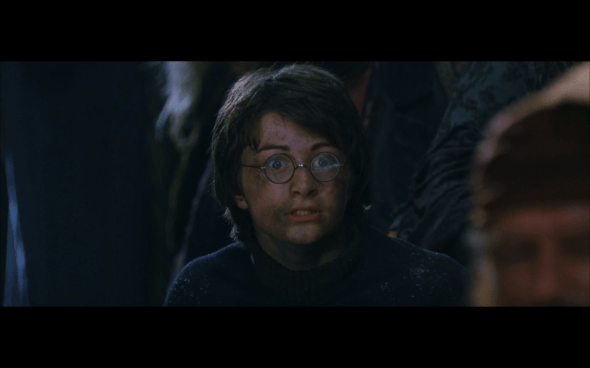 Harry Potter and the Chamber of Secrets - 205