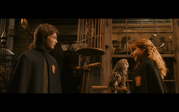 Harry Potter and the Chamber of Secrets - 213