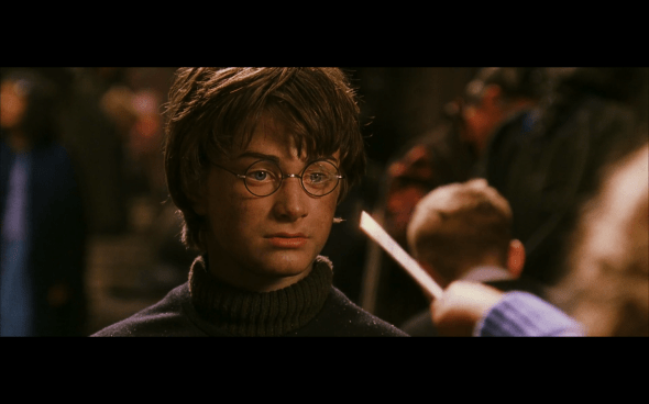 Harry Potter and the Chamber of Secrets - 214