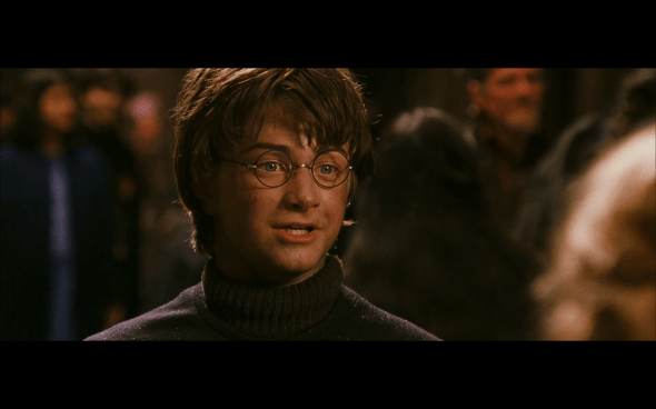 Harry Potter and the Chamber of Secrets - 215