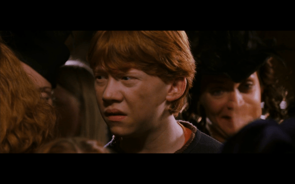 Harry Potter and the Chamber of Secrets - 230