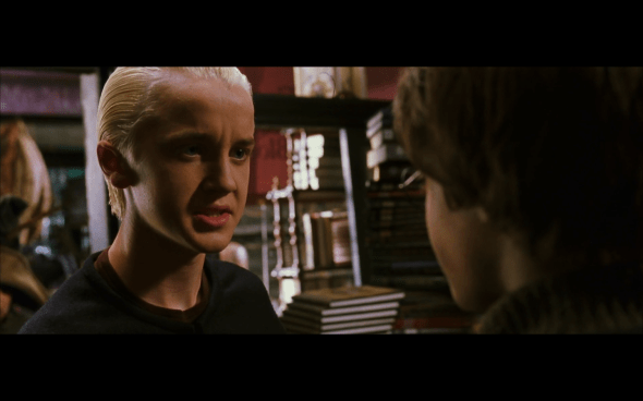 Harry Potter and the Chamber of Secrets - 241