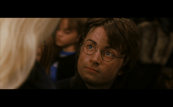 Harry Potter and the Chamber of Secrets - 253