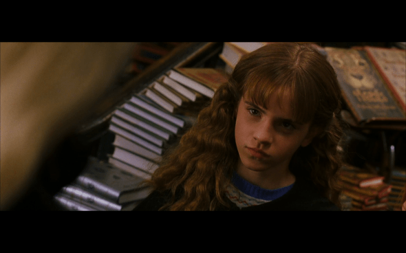 Harry Potter and the Chamber of Secrets - 259