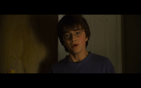 Harry Potter and the Chamber of Secrets - 26