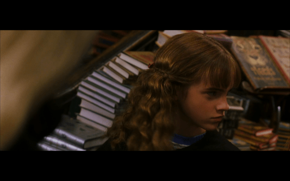 Harry Potter and the Chamber of Secrets - 260