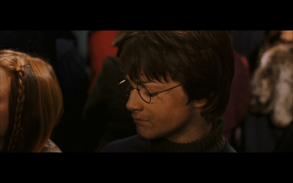 Harry Potter and the Chamber of Secrets - 268