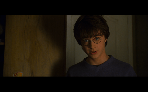 Harry Potter and the Chamber of Secrets - 28