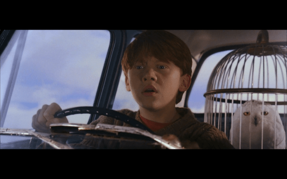 Harry Potter and the Chamber of Secrets - 289