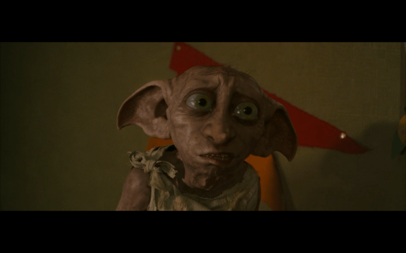 Harry Potter and the Chamber of Secrets - 29