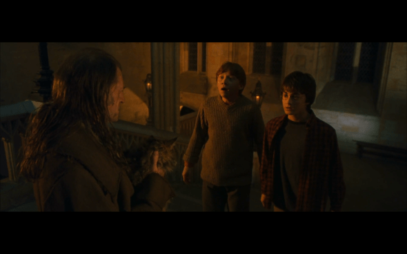 Harry Potter and the Chamber of Secrets - 346