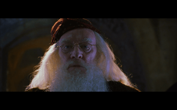 Harry Potter and the Chamber of Secrets - 353