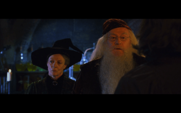 Harry Potter and the Chamber of Secrets - 358