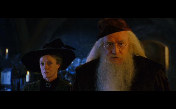 Harry Potter and the Chamber of Secrets - 361