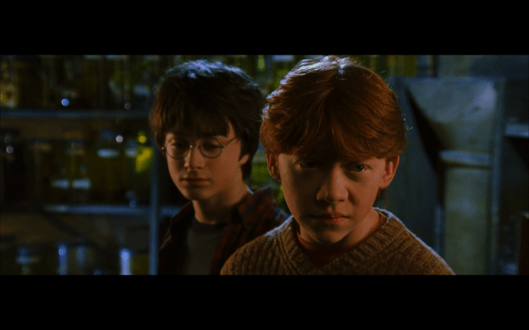 Harry Potter and the Chamber of Secrets - 362