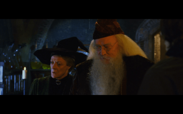 Harry Potter and the Chamber of Secrets - 363