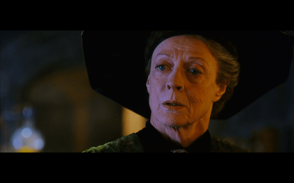 Harry Potter and the Chamber of Secrets - 366