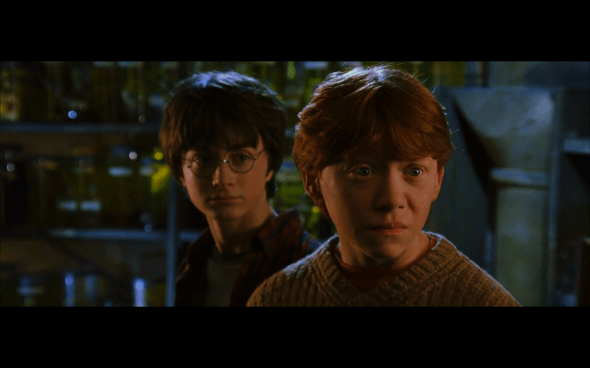 Harry Potter and the Chamber of Secrets - 368