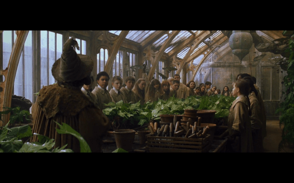 Harry Potter and the Chamber of Secrets - 378