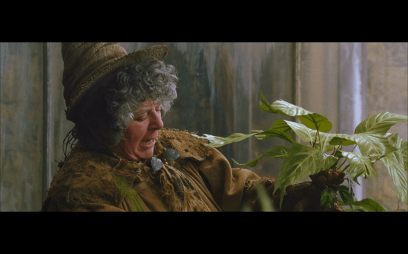 Harry Potter and the Chamber of Secrets - 381