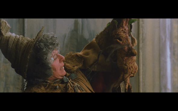 Harry Potter and the Chamber of Secrets - 382