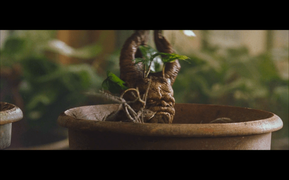 Harry Potter and the Chamber of Secrets - 383