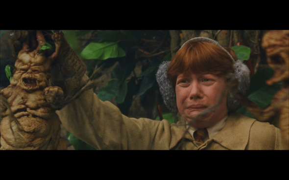 Harry Potter and the Chamber of Secrets - 389