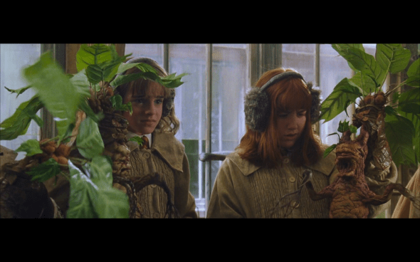 Harry Potter and the Chamber of Secrets - 390