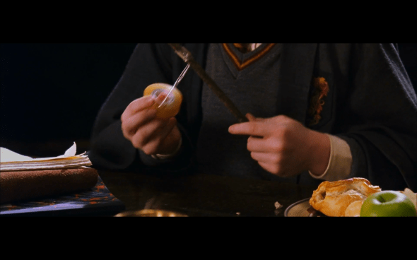 Harry Potter and the Chamber of Secrets - 394