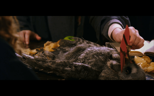 Harry Potter and the Chamber of Secrets - 403