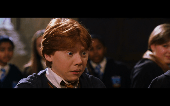 Harry Potter and the Chamber of Secrets - 408