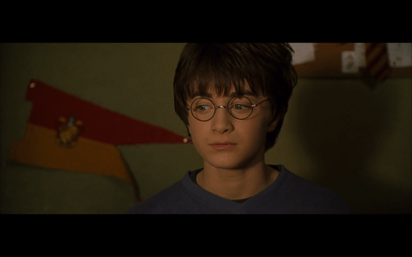 Harry Potter and the Chamber of Secrets - 41