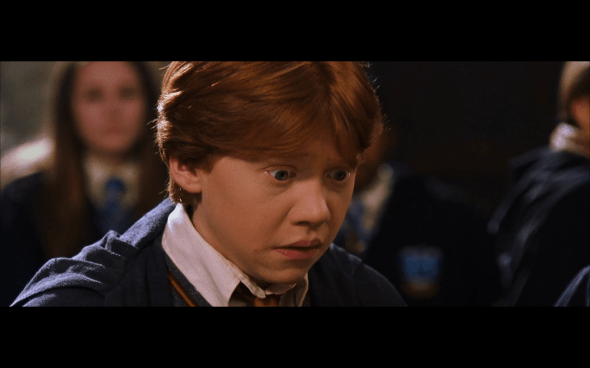 Harry Potter and the Chamber of Secrets - 417