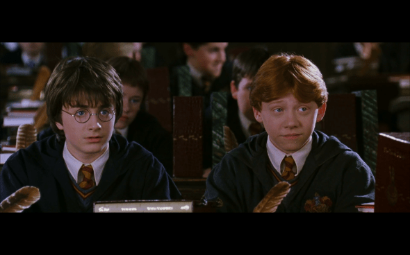 Harry Potter and the Chamber of Secrets - 424