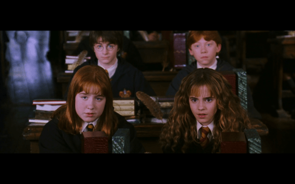 Harry Potter and the Chamber of Secrets - 426