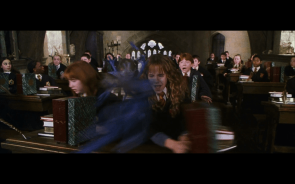 Harry Potter and the Chamber of Secrets - 429