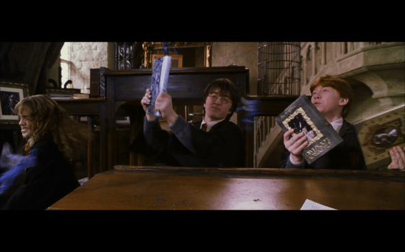 Harry Potter and the Chamber of Secrets - 441