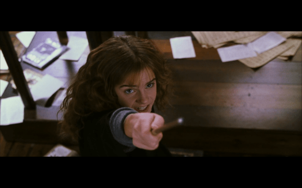 Harry Potter and the Chamber of Secrets - 442